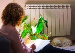 A woman sitting by her radiator doing work, with a dog and houseplant by the heat and spring sun shining through a window.